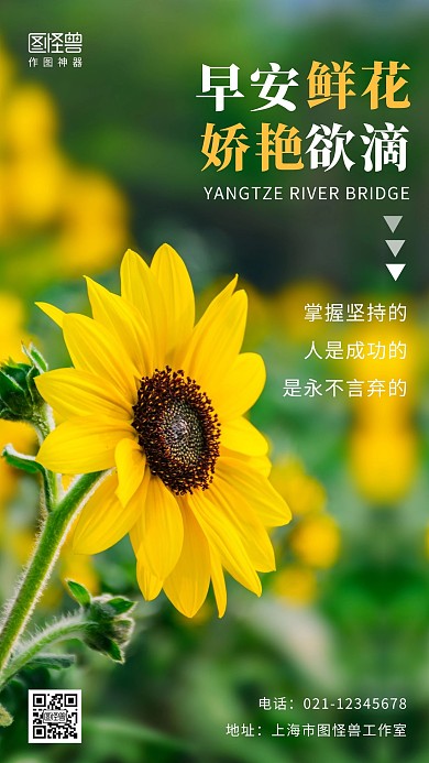 早安鲜花摄影简约创意日签
