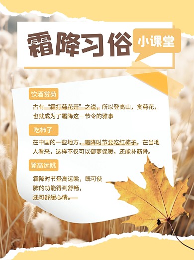 霜降习俗科普学习简约小红书封面