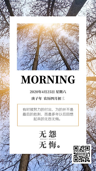 清晨仰望树林早安无怨无悔日签