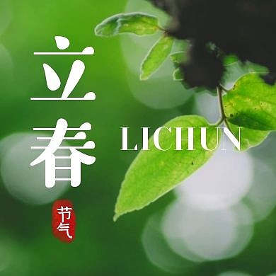 立春节气清新摄影树叶公众号封面次图
