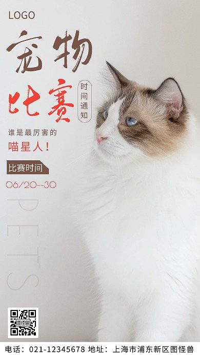 摄影图宠物比赛白色简约风摄影图海报