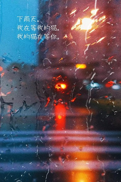创意唯美小清新水粉画猫咪公众号配图