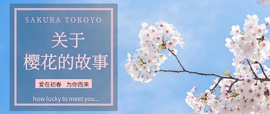 关于樱花的故事公众号首图文艺简约大气