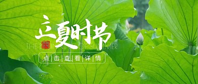 立夏传统节气简约摄影荷叶公众号封面首图