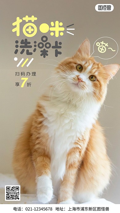 猫咪洗澡卡办理摄影图海报
