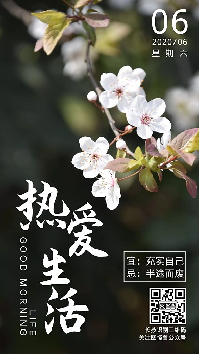 早安生活花朵六月摄影日签