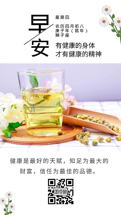  白色菊花早安健康管理