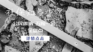 社保知多少