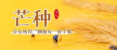 芒种节气节日节点祝福公众号封面首图