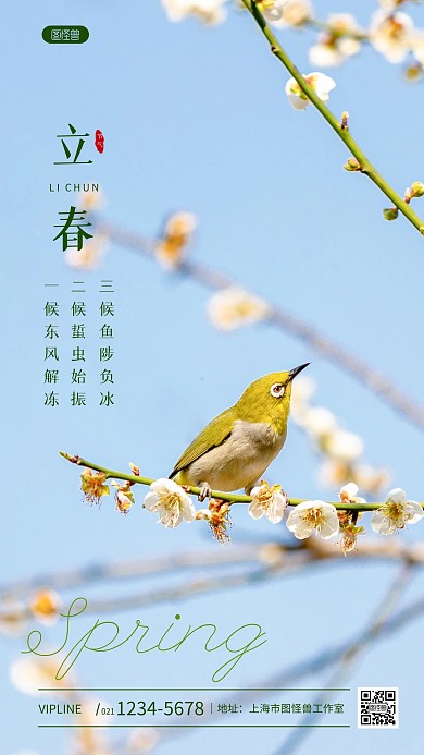 立春节日节气三候祝福简约风摄影图海报