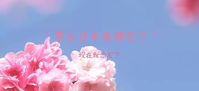 去日本看樱花立即出发公众号特殊首图