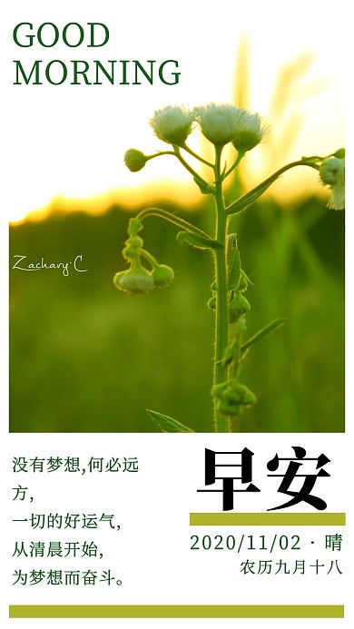 创意清新风早安日签手机海报