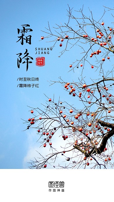 简约大气摄影风霜降时节手机启动页闪屏