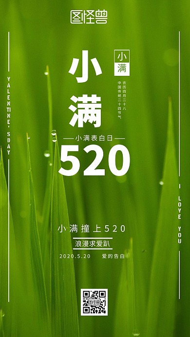 小满撞上520小清新手机宣传海报