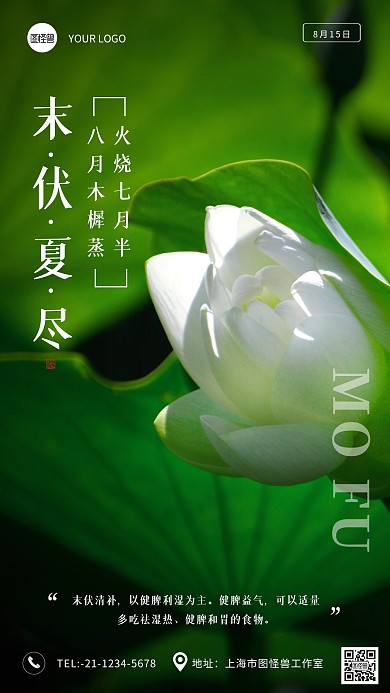 末伏夏尽荷叶夏天手机摄影图海报