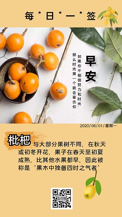 枇杷早安简约丰收日签