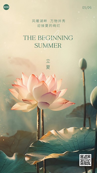 立夏传统节气荷花祝福插画海报