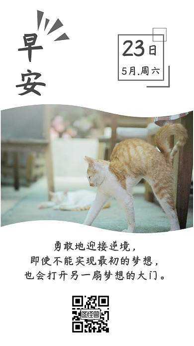 早安猫咪日签励志海报