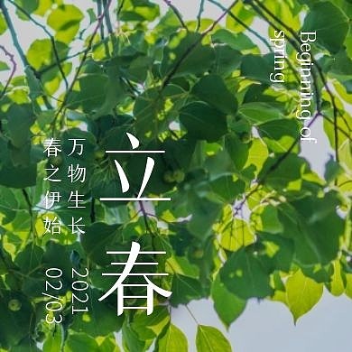 立春简约摄影图公众号封面次图