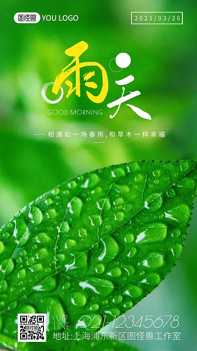 雨天绿色摄影风树叶雨滴早安日签