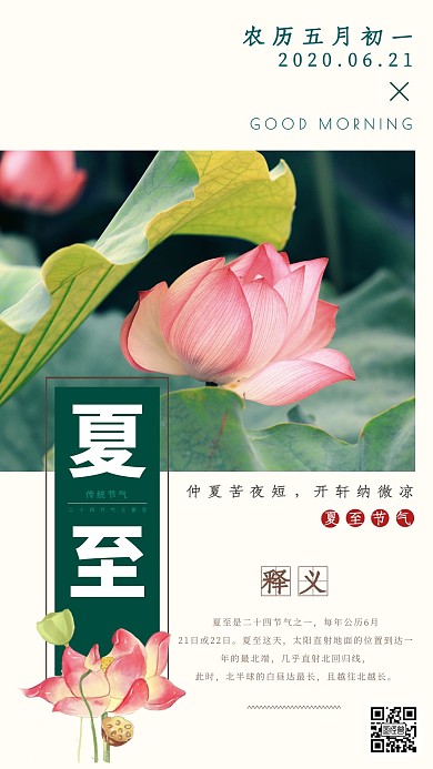 早安日签夏至荷花绿色