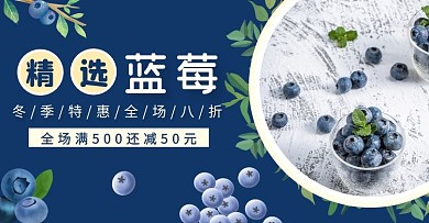 美食水果蓝莓电商横版海报