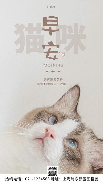 早安猫咪棕色问候清新摄影图海报