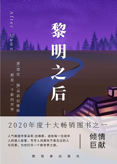 黎明之后书籍小说书籍封面
