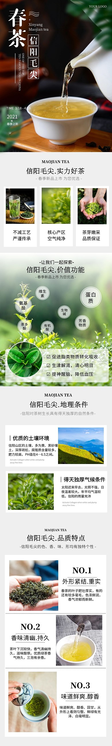 饮品茶叶春茶信阳毛尖产品介绍大气详情页