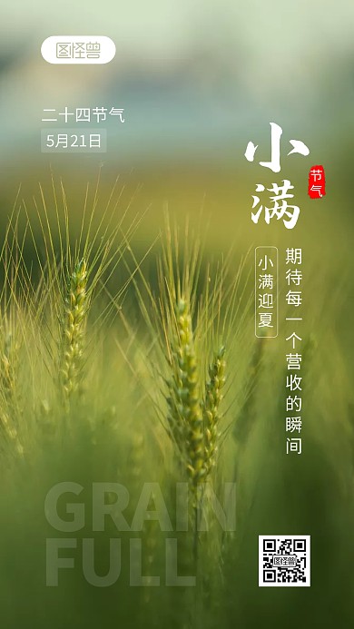 小满传统节气摄影图海报