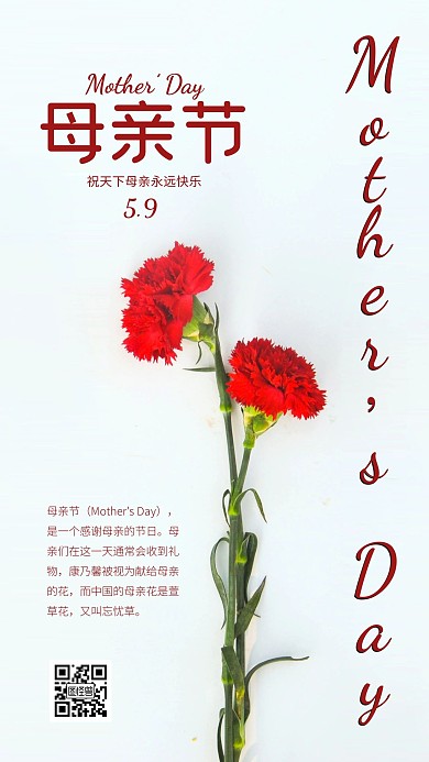简约大气摄影风康乃馨母亲节祝福摄影图海报