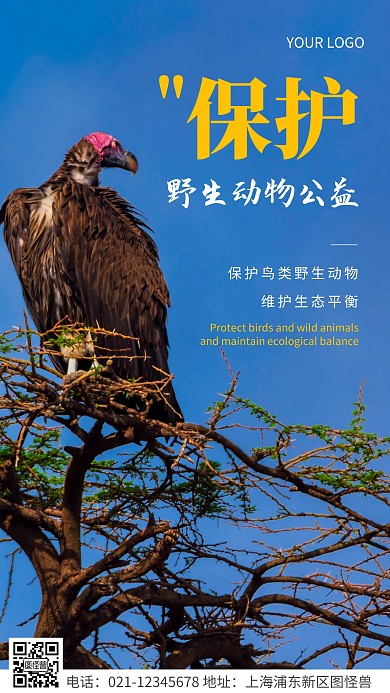 简约风白色保护野生动物公益摄影图海报