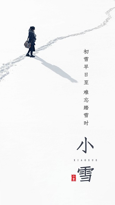 白色简洁小雪节气摄影图海报