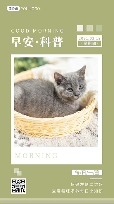 绿色简约宠物猫咪早安每日科普小图标日签