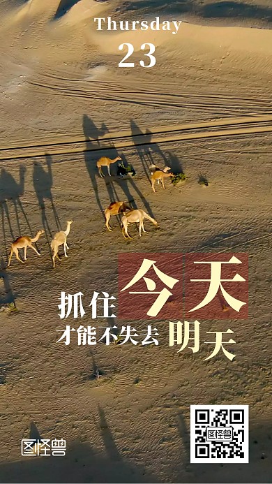 沙漠骆驼迪拜励志黄色简约摄影日签