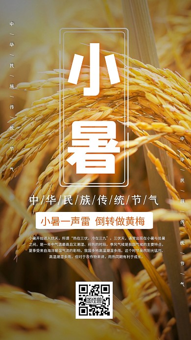 简约大气创意摄影风小暑麦子手机海报