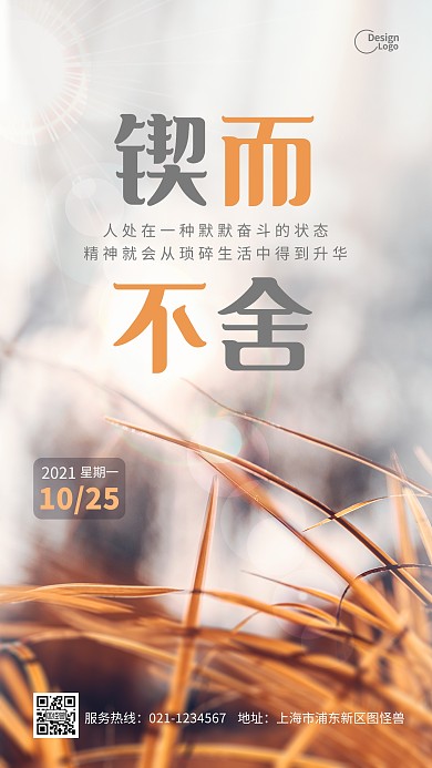 锲而不舍励志自然风景小草摄影图海报