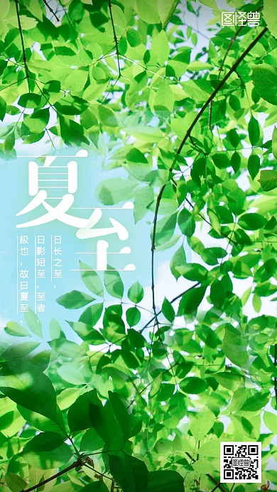 节气夏至摄影图海报