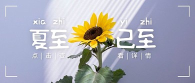 夏至祝福简约摄影向日葵公众号封面首图