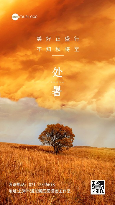 二十四节气处暑摄影图海报