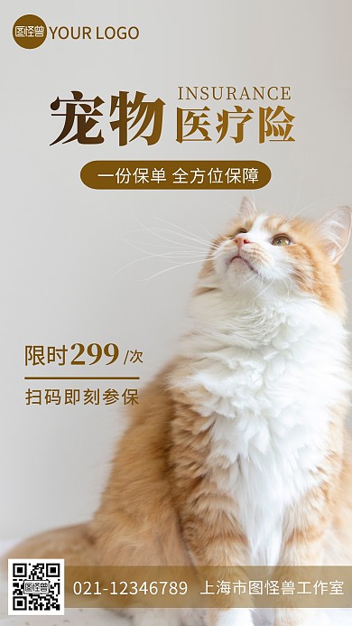 宠物保险宣传摄影图海报