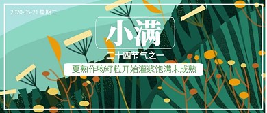 简约绿色小满二十四节气公众号封面