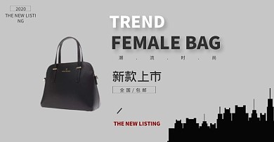 潮流女包新品上市电商促销营销包邮简约模板