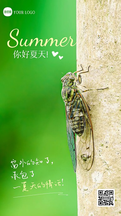你好夏天问候创意套图摄影图海报
