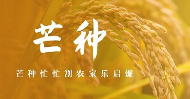 芒种节气祝福麦穗电商横版海报