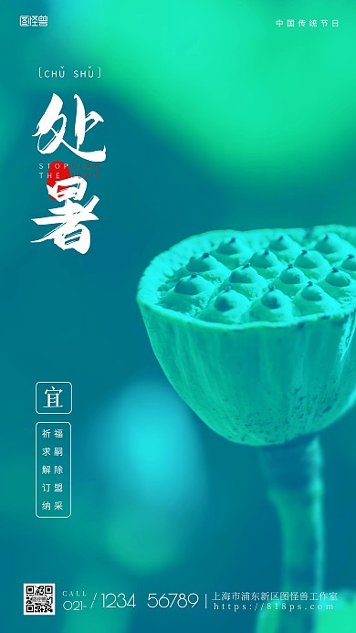图怪兽原创处暑莲蓬手机摄影图海报