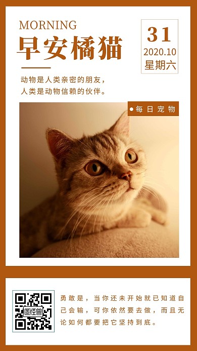 早安橘猫励志日签海报