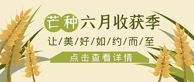 芒种节气清新公众号封面首图