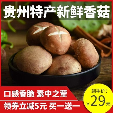 贵州特产新鲜香菇狂欢红黄食品餐饮主图