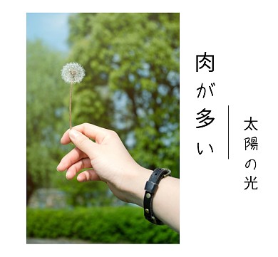 植物太阳的光摄影背景图